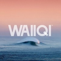 WaiiQi logo - Similar company to Exploy