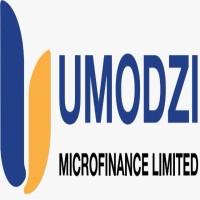 UMODZI MICROFINANCE [ZM] LIMITED logo - Similar company to Umoja Microfinance (Smc) Ltd