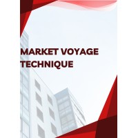 Market Voyage Technique logo - Similar company to Catalyst Consulting System