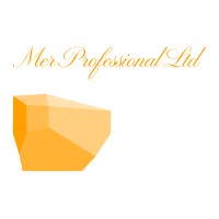 Mer Professional Ltd logo - Similar company to Netmagmedia