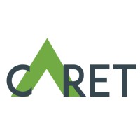 Caret IT Solutions logo - Similar company to Browseinfo