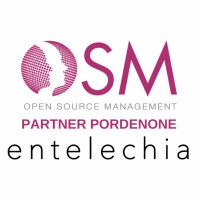 OSM Partner Pordenone logo - Similar company to Jesterlux Srl