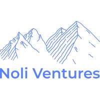 Noli Ventures logo - Similar company to Nobu Ventures & Advisory