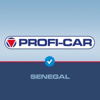 PROFI-CAR SENEGAL logo - Similar company to Seye
