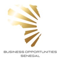 Business Opportunities Senegal logo - Similar company to Workshop In Business Opportunities