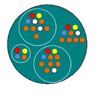 Hjs-Consultant