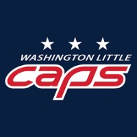 Washington Little Capitals logo - Similar company to Devotion To Children