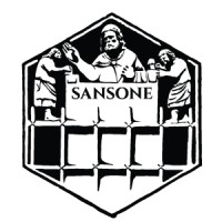 SANSONE SRL logo - Similar company to Hyper Stp Srl