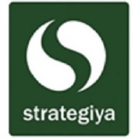 Strategiya -  Oracle NetSuite Alliance Partner logo - Similar company to Stratx Exl