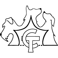 Chasing Tails Dog Training