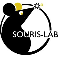 Souris-Lab logo - Similar company to 1Pactxp