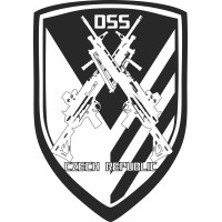 DSS a.s. logo - Similar company to Alpine Defence Technologies Gmbh