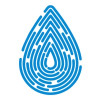 Identity Flow Data Solutions logo - Similar company to M21 Realty House ⏐ Marbella ⏐ Sotogrande ⏐ Mallorca
