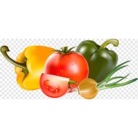 Rancho 3 Marías logo - Similar company to Vitamin Turkey