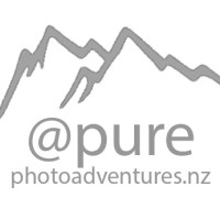 @Purephotoadventures.Nz