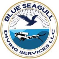 Blue Seagull Diving Services LLC logo - Similar company to Unieng Consulting Inc.