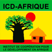 ICD AFRIQUE - page officielle logo - Similar company to Shareq