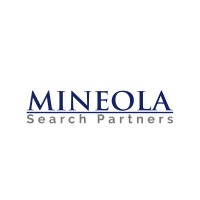 Mineola Search Partners logo - Similar company to Microdea