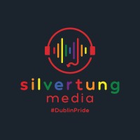 Silvertung Media logo - Similar company to Cube.Irish