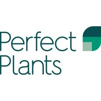 Perfect Plants logo - Similar company to Segra International Corp.