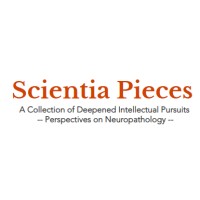 Scientia Pieces logo - Similar company to Wells For Wellness