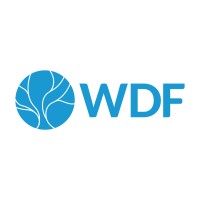 WDF Company logo - Similar company to Avant