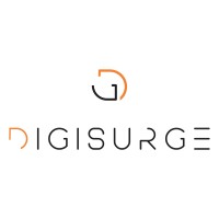 DigiSurge logo - Similar company to Calanques Valley