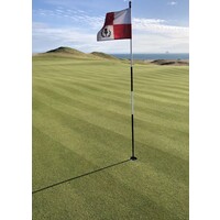 DUMBARNIE GOLF LINKS logo - Similar company to Carnoustie Golf Links