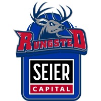 Rungsted Seier Capital logo - Similar company to Bugging Denmark