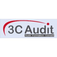 3C Audit logo - Similar company to Sof Consulting, Llc