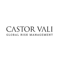 Castor Vali logo - Similar company to Valar