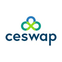 ceswap digital solutions GmbH logo - Similar company to Bex