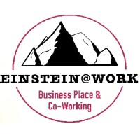 Einstein@Work - Business Place & Coworking logo - Similar company to Sapaso