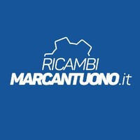 Ricambimarcantuono.it logo - Similar company to Luxsupercar