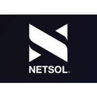Netsol Technology logo - Similar company to Over Technologies (Uk)