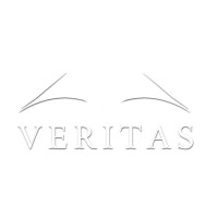 Veritas Holdings Group logo - Similar company to Steadynet