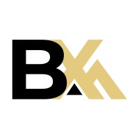 BXAM logo - Similar company to Briq Bv