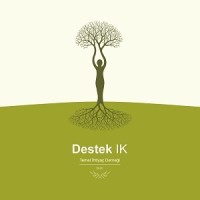 DESTEK İK logo - Similar company to Beyaz Gemi