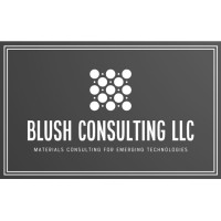 Blush Consulting LLC logo - Similar company to Bush Consulting Group