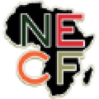 Nancy Ellen Crooks Foundation logo - Similar company to Pledge Hope