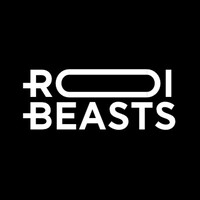 ROI Beasts logo - Similar company to Overnight Auditors
