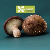 DON FARRUCO - Hongos shiitake logo - Similar company to Levtec