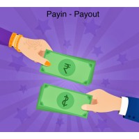 Payin Payout logo - Similar company to Payone Online
