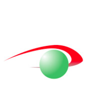 The Eye Health Institute