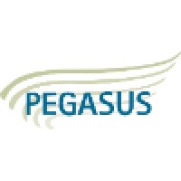 Pegasus Planning and Development logo - Similar company to Texas Ev