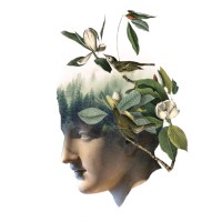 Arcadia Earth logo - Similar company to Story Factory Studios