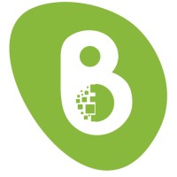 Braindigit logo - Similar company to Tech Nirvana