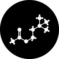 Hersenletselpraktijk logo - Similar company to Neuro- En Revalidatiepsychologie