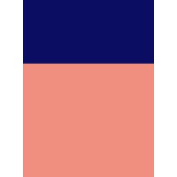 Briar Group Marketing logo - Similar company to Global Ballooning Australia