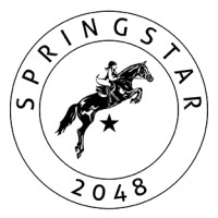 Springstar GmbH logo - Similar company to Outback Trading